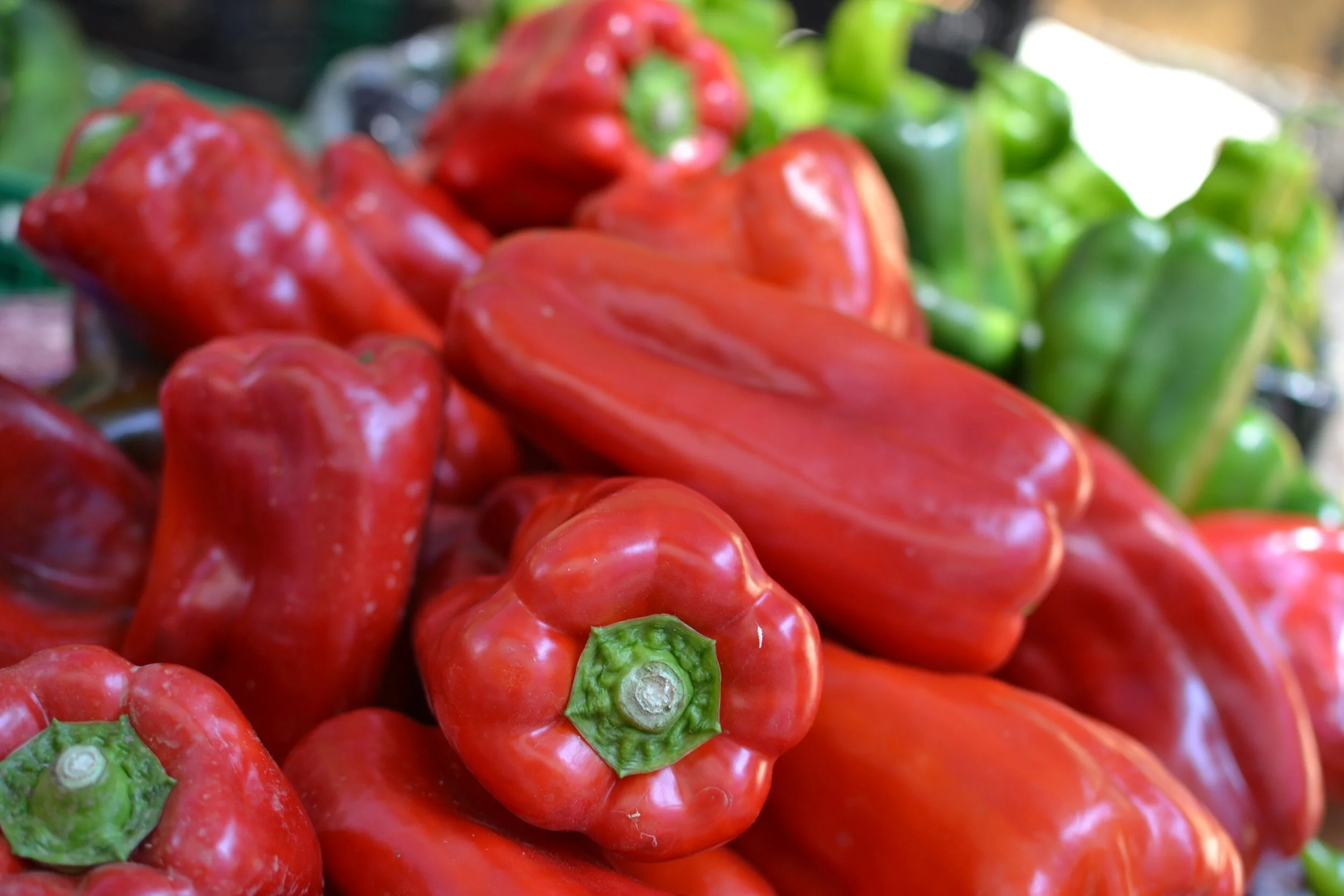 How to grow peppers Stone Pier Press